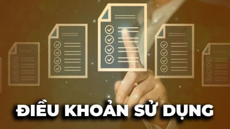 Điều khoản sử dụng wstar77 chi tiết mọi bet thủ cần nắm 3 Một số lưu ý về các quy định khi tham gia cá cược