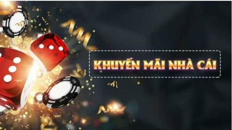 Chương trình thành viên Wstar77 ưu đãi khủng không thể bỏ lỡ 5 Một vài lưu ý về chương trình thành viên tại nhà cái