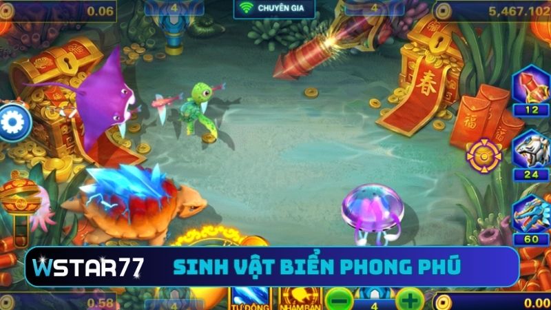 Sinh vật biển phong phú tạo sức hút